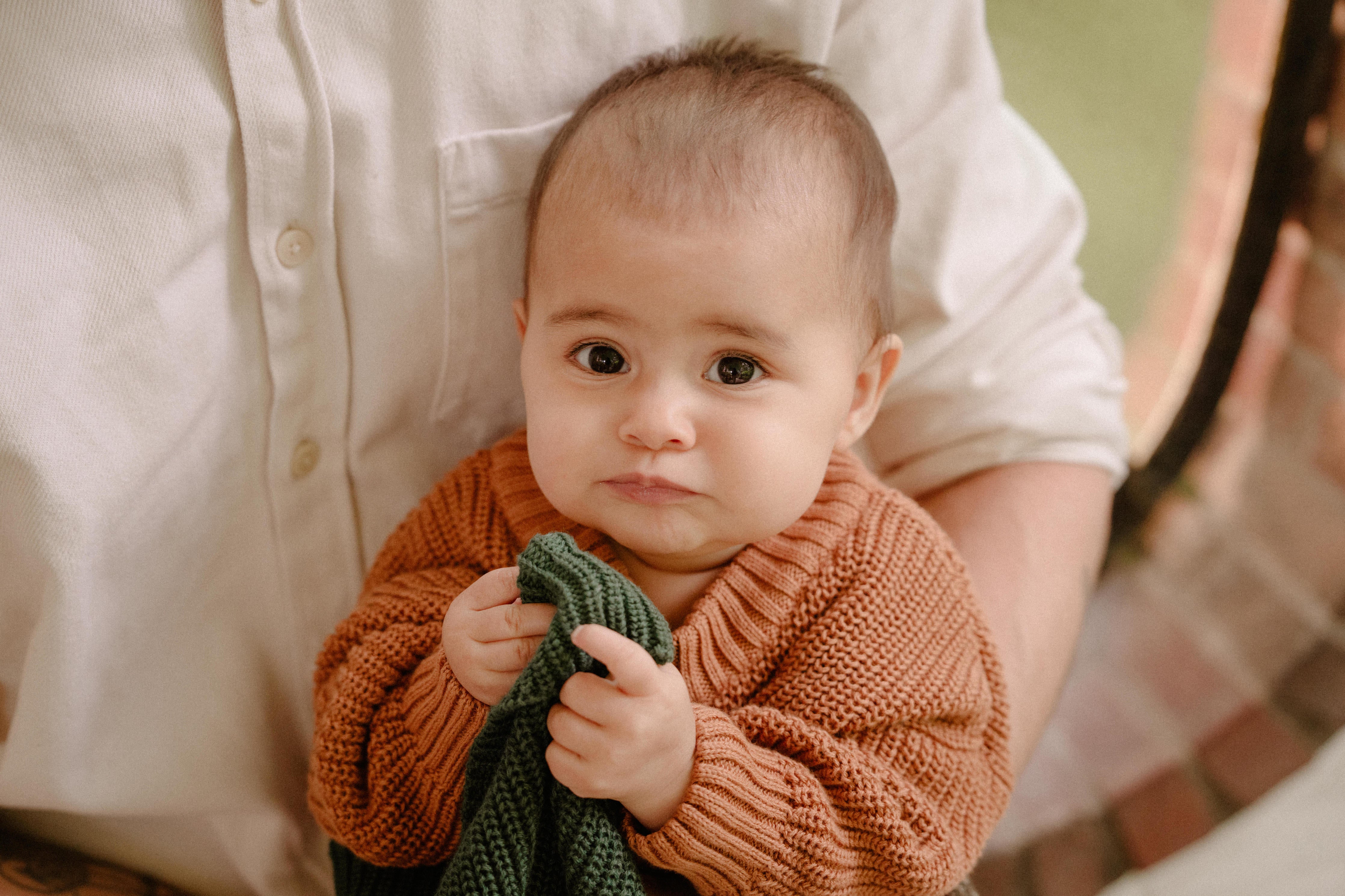 Cute baby wearing YoungYarn knit sweater in meerkat color, looking directly into the camera while holding a pinegreen beanie in her hands.